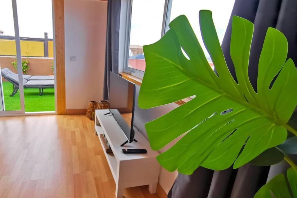 Loft Bella Vista Appartement *